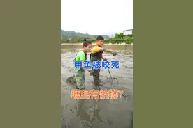 塘里被咬死几十只甲鱼，是什么在里面作怪？#三农 #农村生活 #我要上热门 #新农人计划2021 #乡村生活日记  #暑期游戏玩玩节视频封面