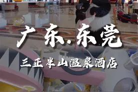 深圳周边2天1夜亲子游，东莞塘厦三正半山温泉酒店，儿童冲浪视频封面