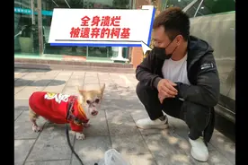 粉丝小帅哥从墨江捡到送下来的柯基，全身皮肤病溃烂视频封面