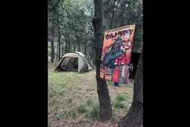 露营季节.大连旅顺小孤山，3天两晚，松树林下过夜睡的很舒服！