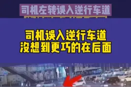 开车一定要看好道路标识！司机误入逆行车道，没想到更巧的在后面#交通安全  #周口观察  @抖音短视频