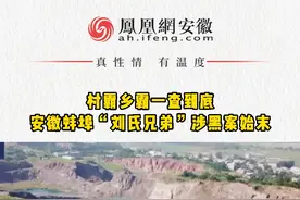 #凤观NEWS 村霸乡霸一查到底安徽蚌埠“刘氏兄弟”涉黑案始末#扫黑 