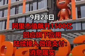 刚刚，#阿里回应旗下app接入微信支付：消息属实！#阿里巴巴 #马云 #微信支付 #饿了么 #优酷 #大麦 #考拉海购 视频封面