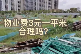 海花岛小区收物业费3元一平米，合理吗？视频封面