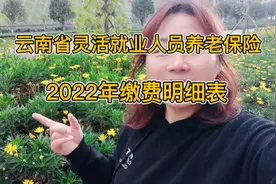 云南省 2022年度灵活就业人员社保缴费基数及缴纳金额明细表视频封面