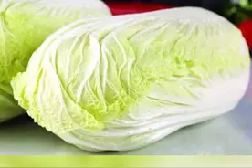白菜的功效#科普一下 #生活小技巧 视频封面