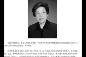 沉痛悼念陈文新先生视频封面
