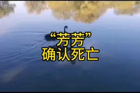 “芳芳”确认死亡，原因可能令人愤怒。无论如何，文明旅游