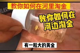 教你如何在河边淘金，视频可能会删，抓紧点赞收藏！#淘金 #金矿