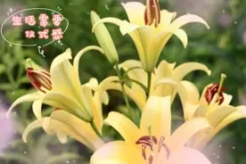 生活需要仪式感，无论你身处何种年龄，要让自己的生活充满色彩。