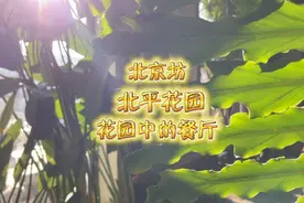 来北京坊转一转，找一找隐藏在那的花园餐厅：北平花园视频封面