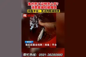 鱼的死亡证明怎么开？消费者维权被难倒 闲鱼平台：没有证明无法判断谁担责视频封面