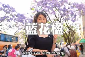所以这花到底能不能吃啊？ #春城昆明满城尽是蓝花楹视频封面