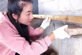 把鸡窝架高，老鼠是不是就不容易偷吃鸡蛋了？！