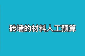 #标准砖墙的材料人工预算视频封面