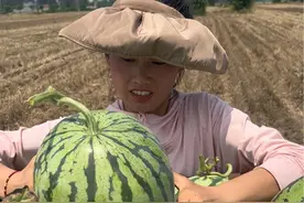 开始卖西瓜啦，以前上街卖东西都是爷爷的工作！这次家里忙不了让娘家爸爸来帮忙。亮亮还很用心的给爸爸准备了父亲节礼物，表现越来越好了#带上足力健陪爸多走走 #父亲节送爸爸足力健视频封面