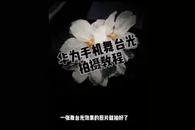 华为手机舞台光拍摄樱花教程，亲测有效。#iphone舞台光 #抖音上学舞台光拍摄 #美好生活有逸达 #华为手机拍照技巧 #樱花拍照