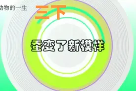 三年级科学下册第二单元《蚕变了新模样》视频封面