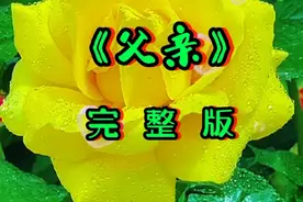 经典音乐，怀旧歌曲，《父亲》完整版，唱哭了天下多少人....