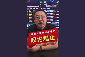 真正的#核心资产是不可替代的！#股民 #财经 #投资 视频封面
