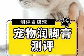 主子脚掌起皮开裂？润脚膏了解一下！视频封面