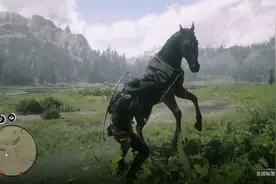 荒野大镖客救赎2 骑手10挑战 全野马驯服地点 #steam游戏