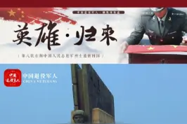 山河已无恙，英魂请安息！#志愿军烈士祭文看哭了 