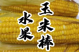 这样煮玉米，软糯香甜#煮玉米#美食#美食教程视频封面