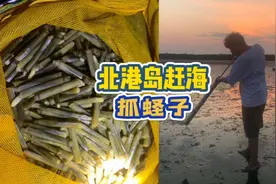 海口附近哪里赶海好玩？不妨到这个小小岛看看！#海南美食#赶海视频封面