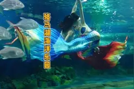 大宿迁骆马湖也有海洋乐园啦！这份攻略你一定要收下！