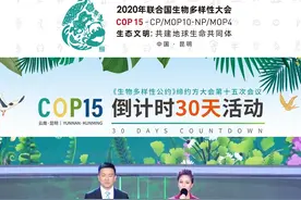#COP15倒计时30天 《生物多样性公约》缔约方大会第十五次会议（COP15）10月11日至15日在昆明举办视频封面