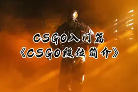 《CSGO段位简介》#csgo  #csgo萌新  #csgo教学