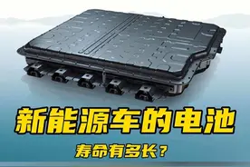 这期看完你如果还纠结买不买新能源车？建议从头再来一遍。#新能源汽车 #新能源车电池寿命一般都是几年 #新能源车电池