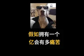 一个亿存银行每天利息是多少？#省流 #科普一下