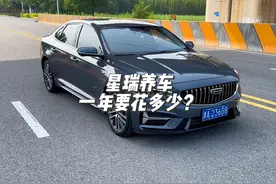 养一台星瑞，每年的费用大概需要多少？#星瑞