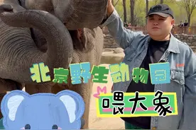 春暖花开，多出来逛逛，这次来野生动物园“重操旧业”！#心动打卡指南 #遇见城市