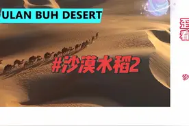 中国研发沙漠种植水稻引发国外网友热议视频封面