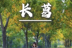 长葛一个五线小城可别小看了他！不仅有星巴克还有海底捞！#为中国小城上分 #长葛 #五线城市视频封面