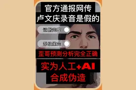 官方通报网传邢道荣卢文庆录音是假的了！是人工+AI合成伪造的视频封面