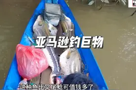 渔民用一斤重的大泥鳅当鱼饵，钓上来好几条巨物，太刺激了#户外