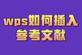 wps如何插入参考文献#word #wps #毕业论文 #参考文献