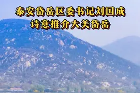 #泰安 #泰安身边事 #岱岳区 泰安市岱岳区区委书记刘国成诗意推介大美岱岳视频封面