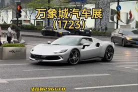 “六横十二纵还你初恋梦”奥迪A8L霍希版双拼色气势拉满