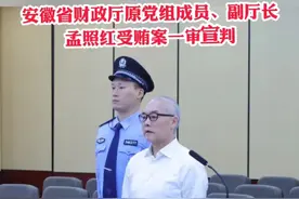 安徽省财政厅原副厅长孟照红一审获刑8年半#庭审视频封面