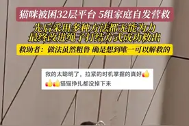 4月3日（采访时间），陕西西安。看着不可能的事情，竟然被他们成功做到了！真是天时地利人和。感谢分享@WQ❤灰灰 #万万没想到 #猫猫救助视频封面