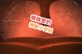 喉咙里的神秘小铃铛，悬雍垂，它到底有什么用？#人体奥秘