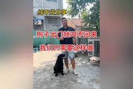 狗子出门叫不回来，我们只需要这样做，狗狗就会一叫就来啦#养狗经验分享 #科学养宠攻略 #新手养狗视频封面