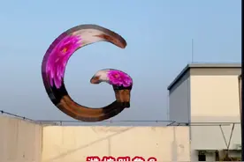 山东车牌歌#特效 #李亦铭山东鲁牌哥视频封面