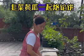 韭菜黄瓜馅、馅饼好吃#妈呀太香了 #家的味道视频封面