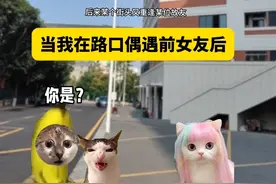 当我在路口偶遇前女友 #猫meme #搞笑 #反转视频封面